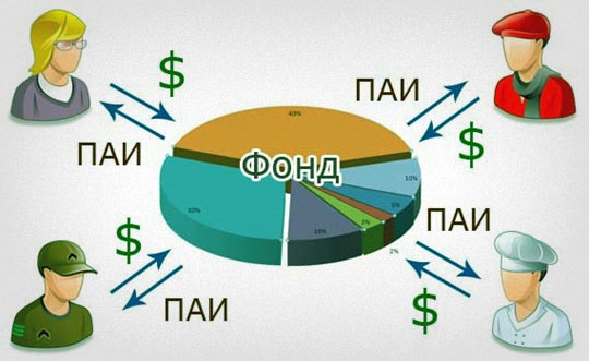 Инвестиционный пай, что это такое? Его фактическая стоимость и характеристика