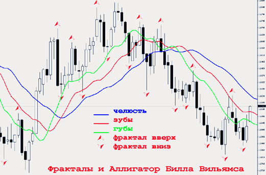 аллигатор и фрактал для опционов