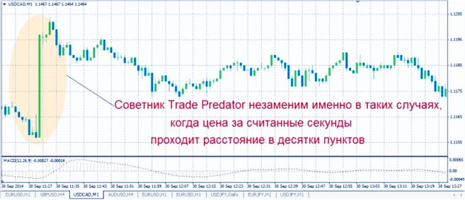 советник из стратегии по тактике в один клик