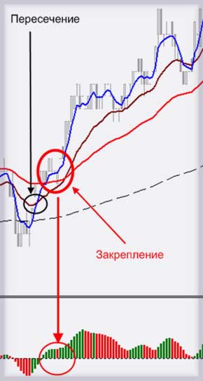 описание базиса стратегии