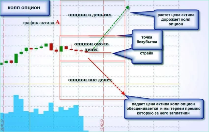 американский тип