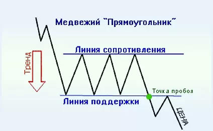 медвежий прямоугольник