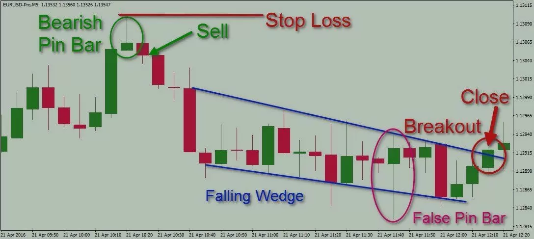 медвежий пин бар в торговле на Форекс