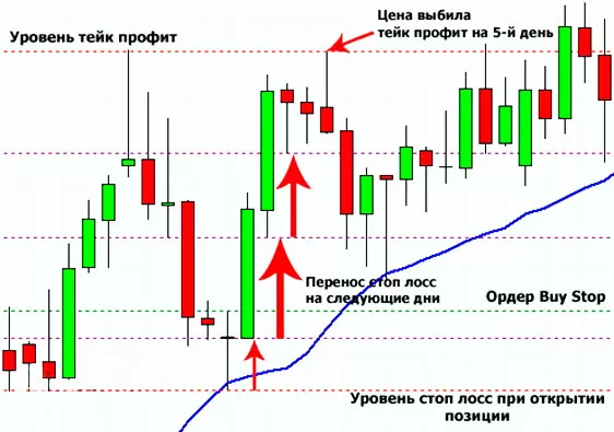 Позиция в торговле с граалем Форекс