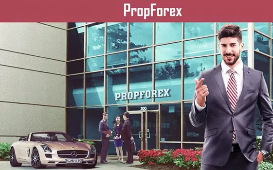 PropForex.co отзывы о компании. Как пройти конкурсный отбор и стать управляющим трейдером?