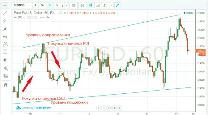 обучение в видео по бинарным опционам. Отзывы о заработке