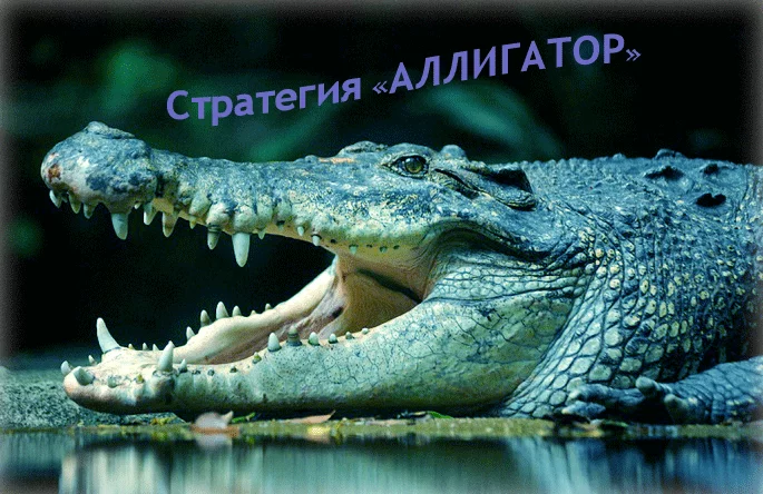 стратегия аллигатор по индикатору