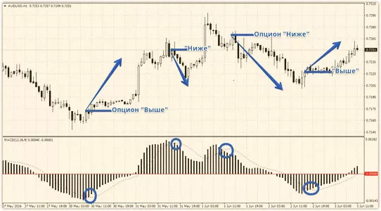 графические сигналы интерпритированные MACD