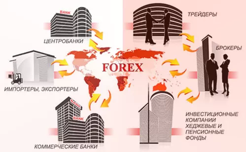 Как устроен валютный рынок Форекс? Схема работы биржи и брокерских компаний