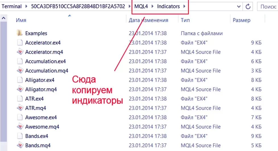 файлы в папку МТ4
