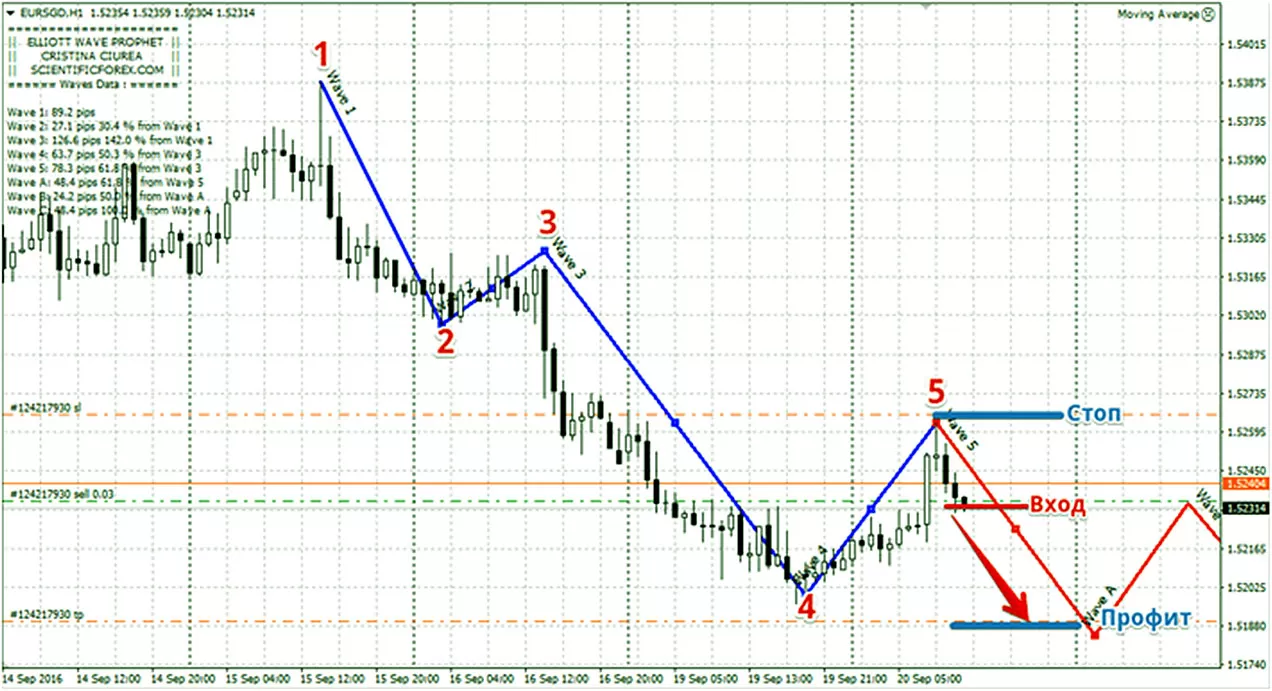 итог работы с Elliott Wave Pro