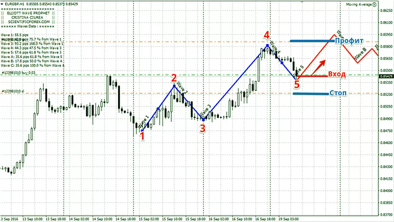 пятая точка на Elliott Wave Pro