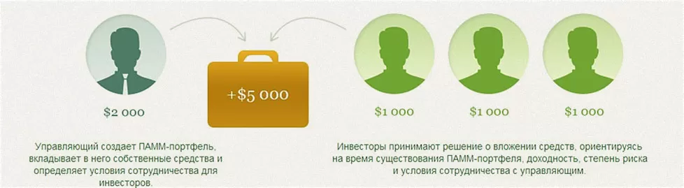 портфельная система