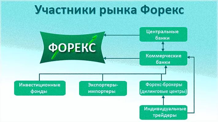 как устроено биржевое общество