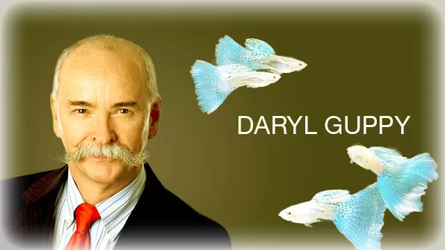 торговый метод от Daryl Guppi 