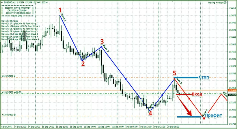 Elliott Wave Prophet 