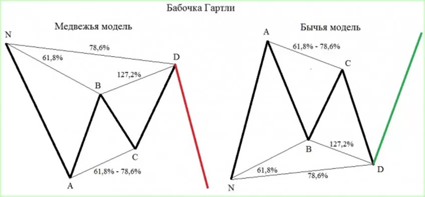 бабочка гартли