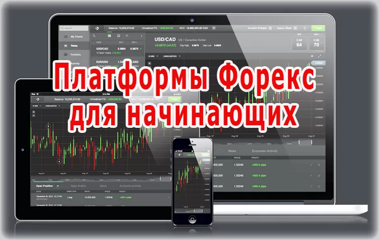 Платформы Форекс для начинающих трейдеров. Рейтинг лучших, современных торговых терминалов