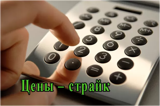 Примеры торговли опционами Пут и Колл – детальная инструкция для начинающих