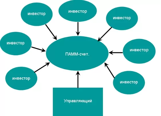 Инвесторы в ПАММ-счет