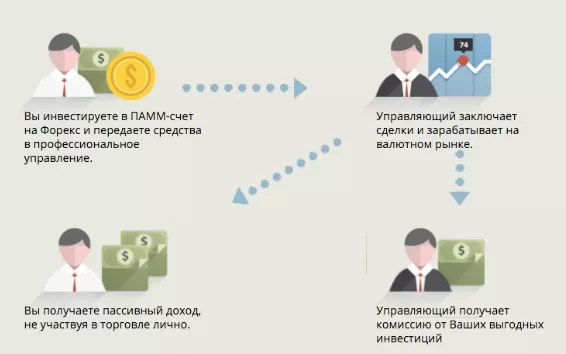 Как работают ПАММ-счета?