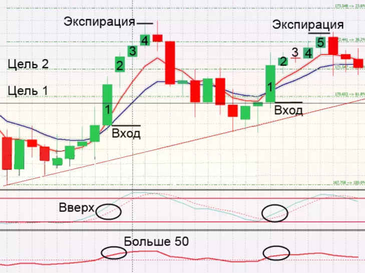 долгосрочная экспирация