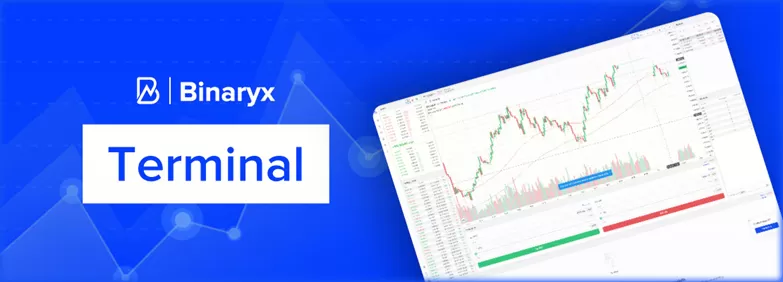 терминал Binaryx