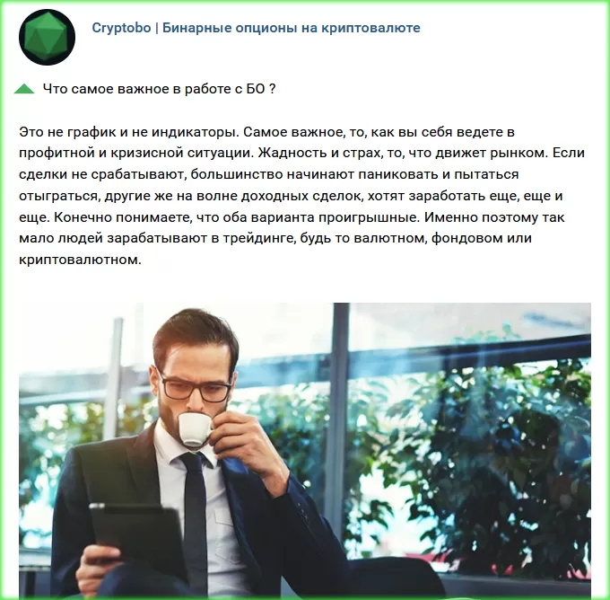 работа с БО на Cryptobo