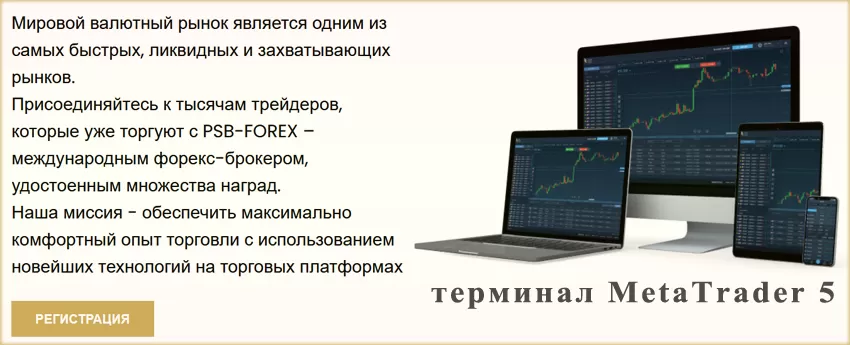 лицензия брокера и торговый терминал